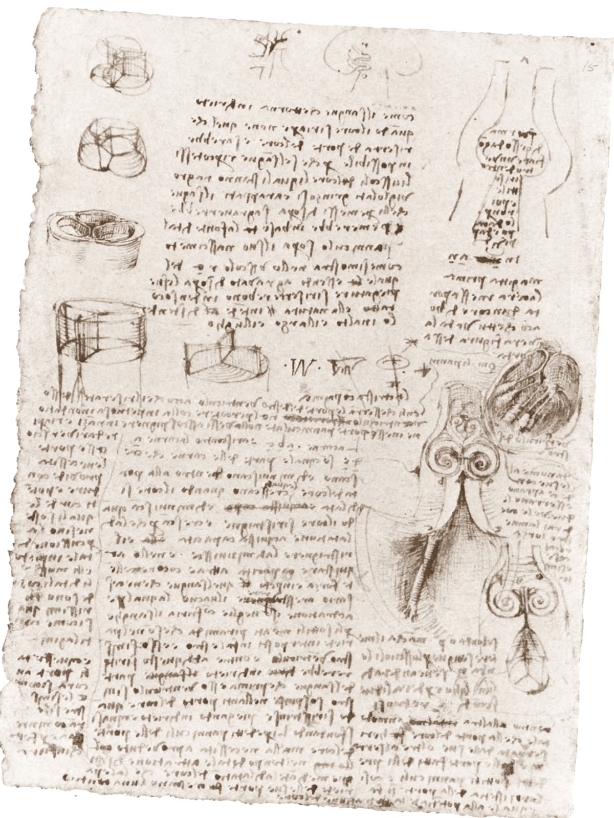 Leonardo+da+Vinci-1452-1519 (813).jpg